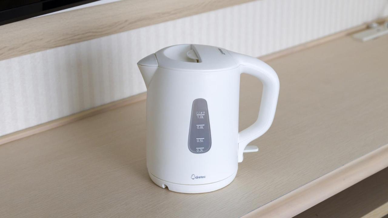 Toyoko Inn Kagoshima Chuo Eki Higashi Guchi Ngoại thất bức ảnh